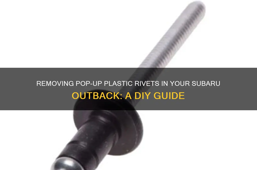 how to remove pop up plastic rivets subaru outback