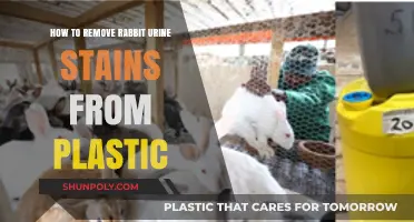 Effective Tips to Remove Rabbit Urine Stains from Plastic Surfaces