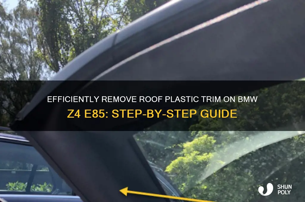 how to remove roof plastic trim z4 e85