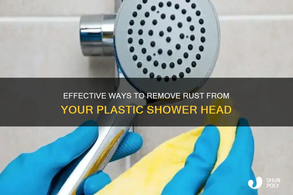 how to remove rust from inside plastic shower head