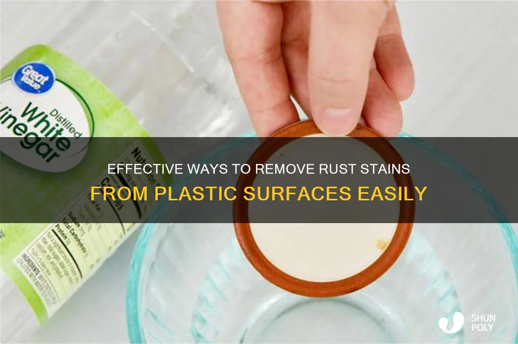 how to remove rust stain on plastic