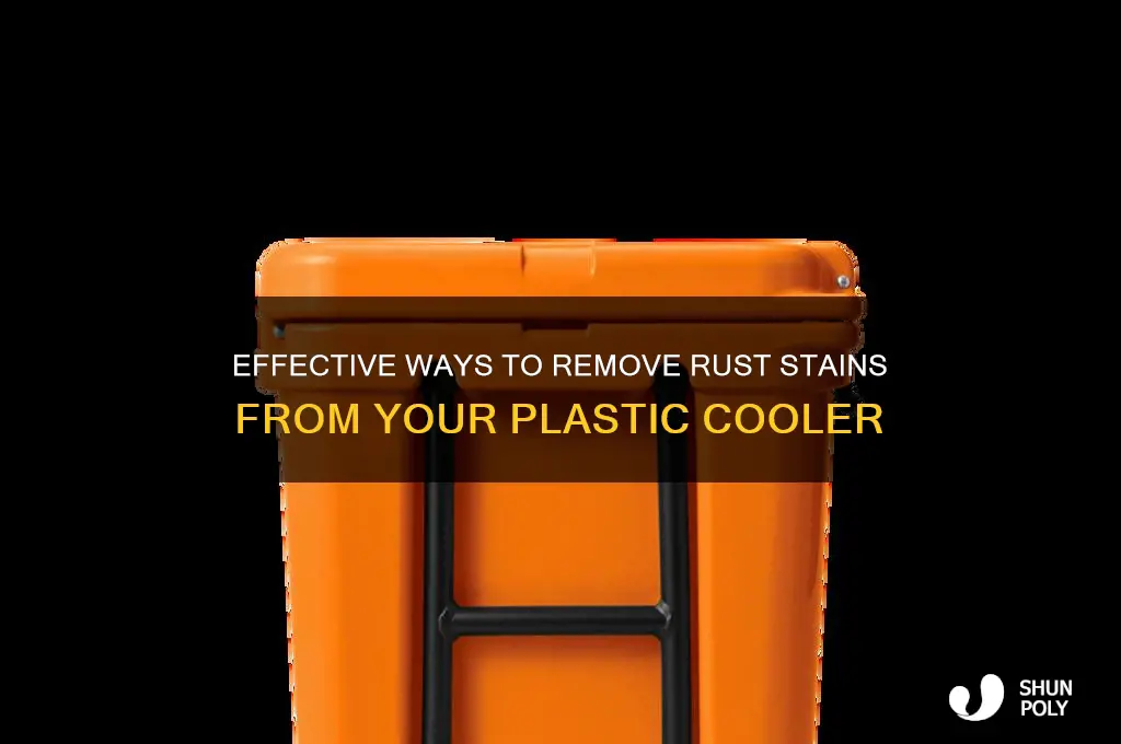 how to remove rust stains from plastic cooler