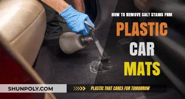 Effective Ways to Remove Salt Stains from Plastic Car Mats