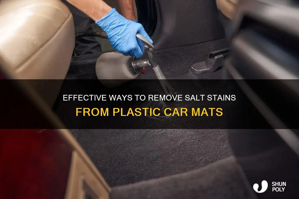 how to remove salt stains frm plastic car mats