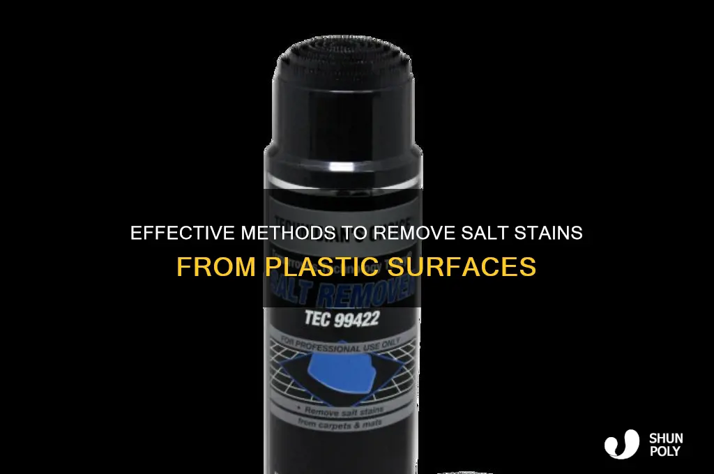 how to remove salt stains from plastic