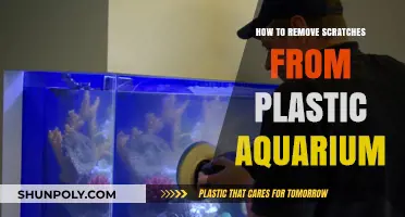 Easy DIY Methods to Remove Scratches from Plastic Aquariums
