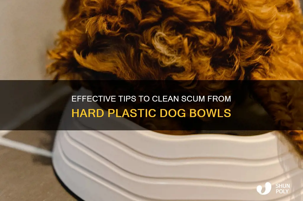 how to remove scum from hard plastic dog bowl