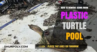 Effective Ways to Remove Scum from Your Plastic Turtle Pool