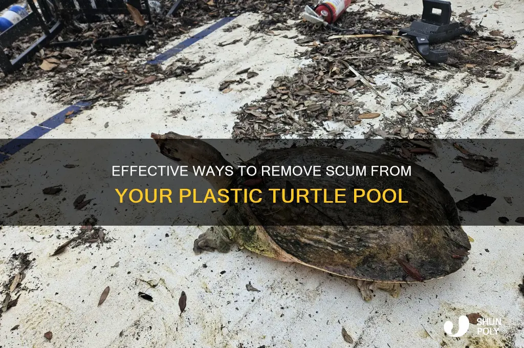 how to remove scum from plastic turtle pool