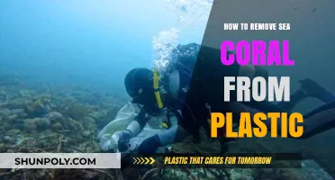 Effective Methods to Safely Remove Sea Coral from Plastic Surfaces