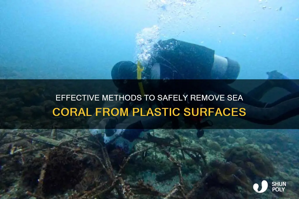 how to remove sea coral from plastic