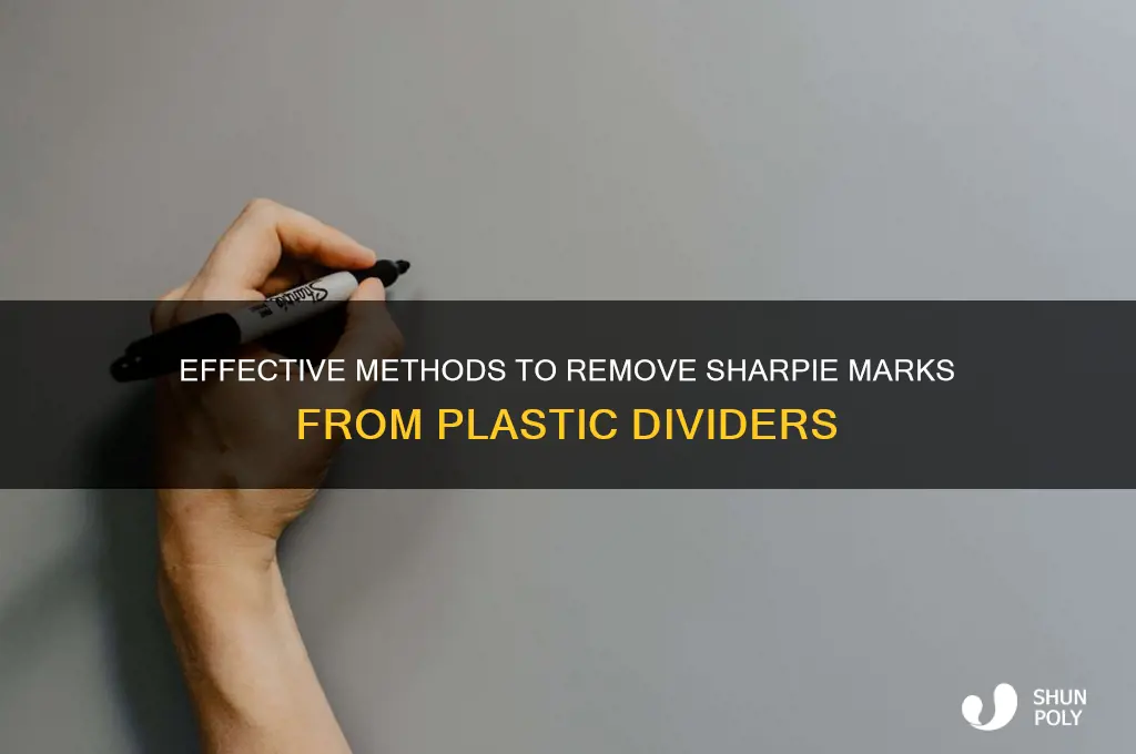 how to remove sharpie from plastic dividers