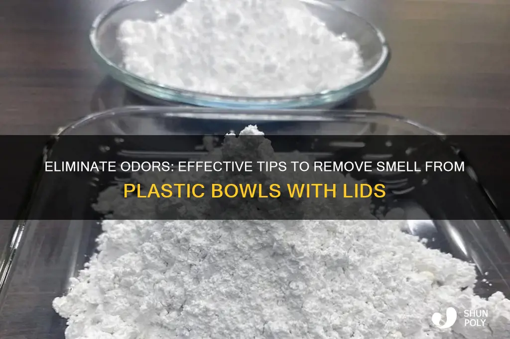 how to remove smell from plastic bowls with lids