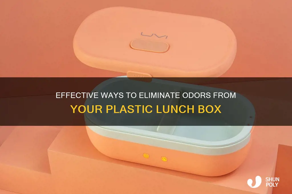 how to remove smell from plastic lunch box