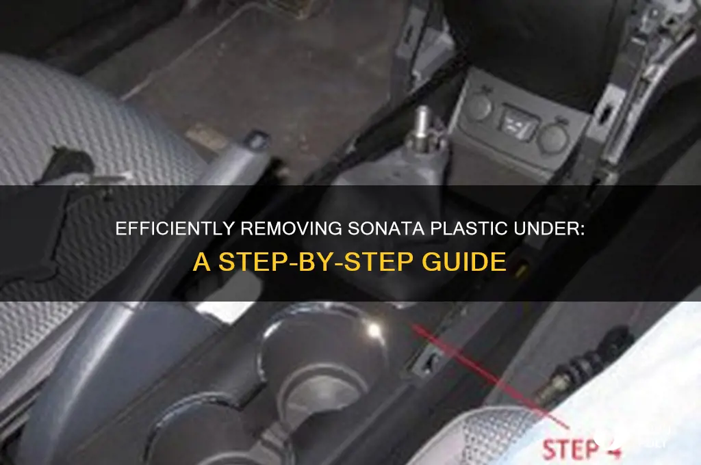 how to remove sonata plastic under