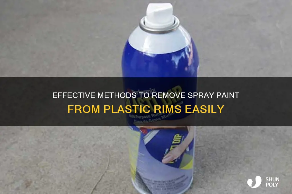 how to remove spray paint from plastic rims