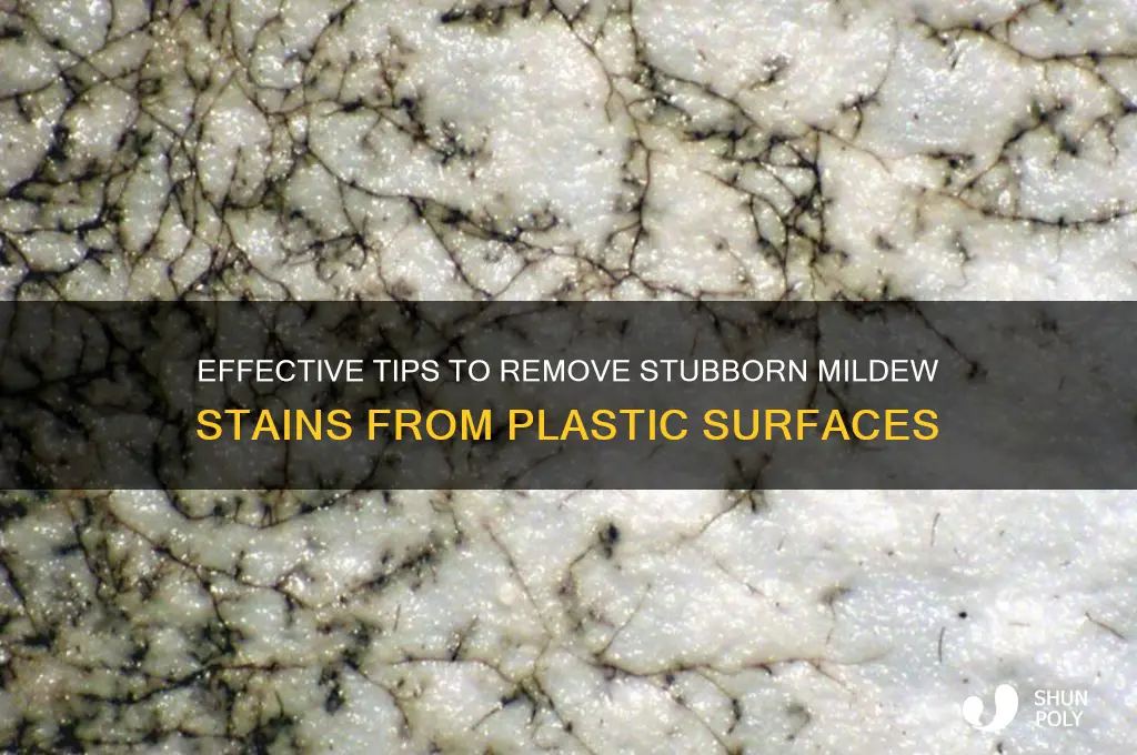 how to remove stained mildew from plastic