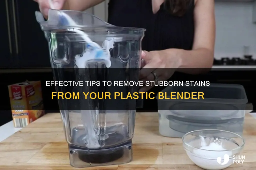 how to remove stains from plastic blender
