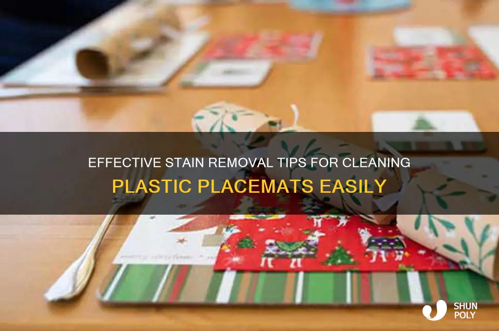how to remove stains from plastic placemats