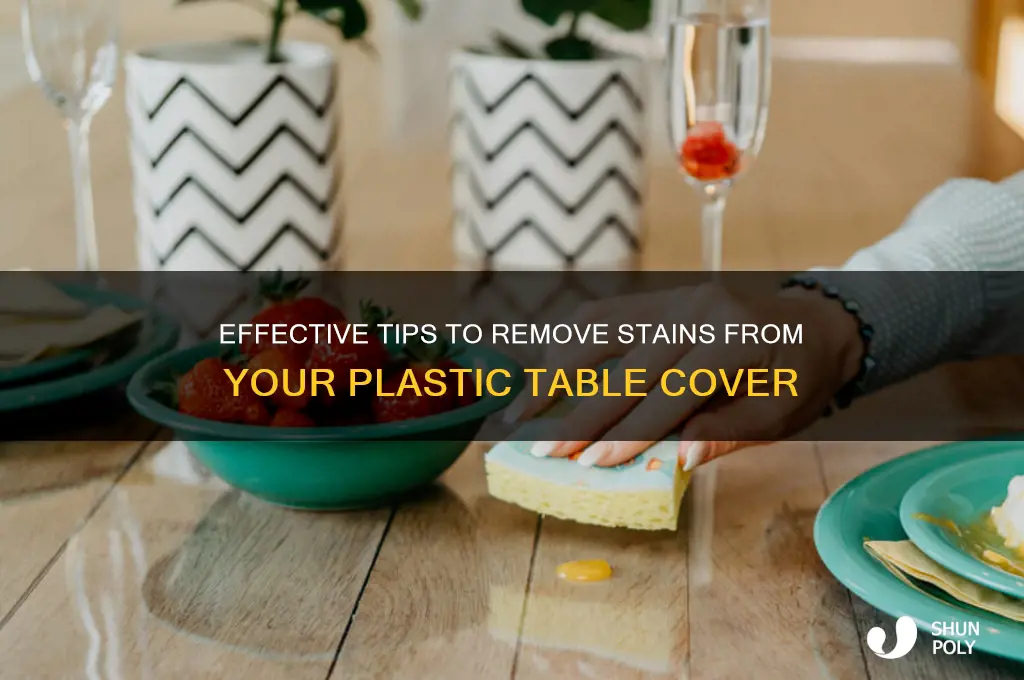 how to remove stains from plastic table cover