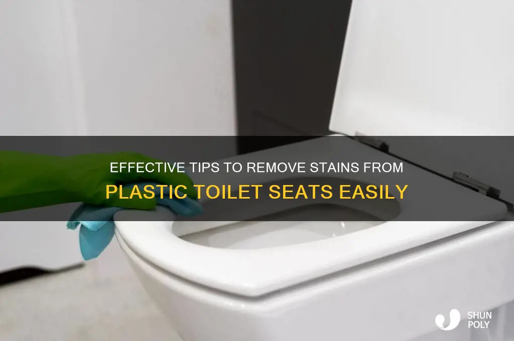 how to remove stains from plastic toilet seat
