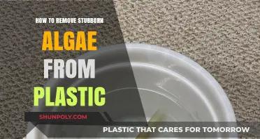 Effective Tips to Eliminate Stubborn Algae from Plastic Surfaces
