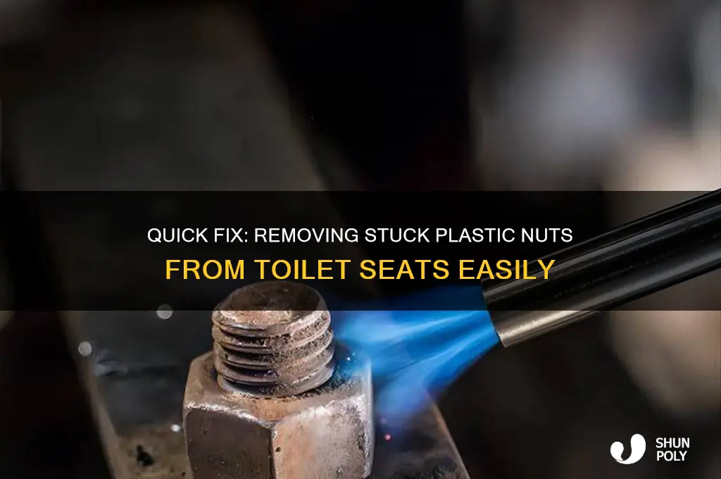 how to remove stuck plastic nut from toilet seat