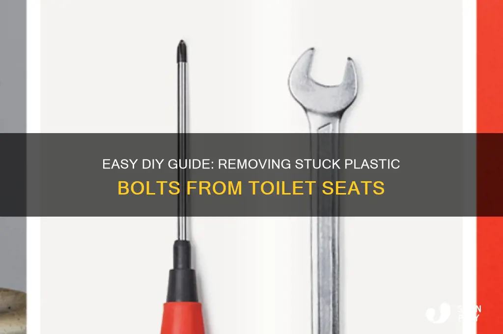 how to remove stuck toilet seat plastic bolts
