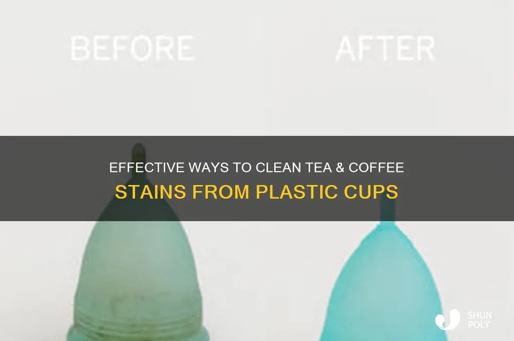 how to remove tea coffee stains from plastic cups