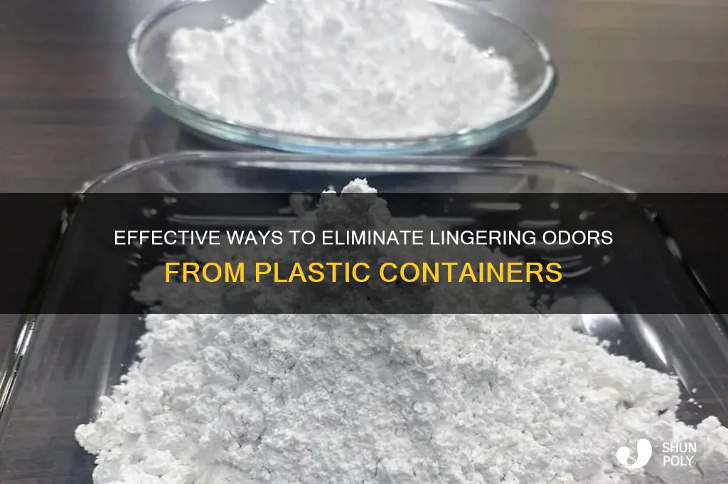 how to remove the odor from plastic containers