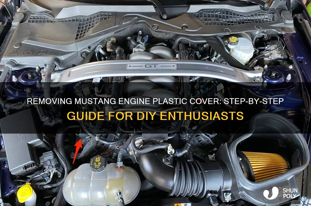 how to remove the plastic cover from the mustang engine