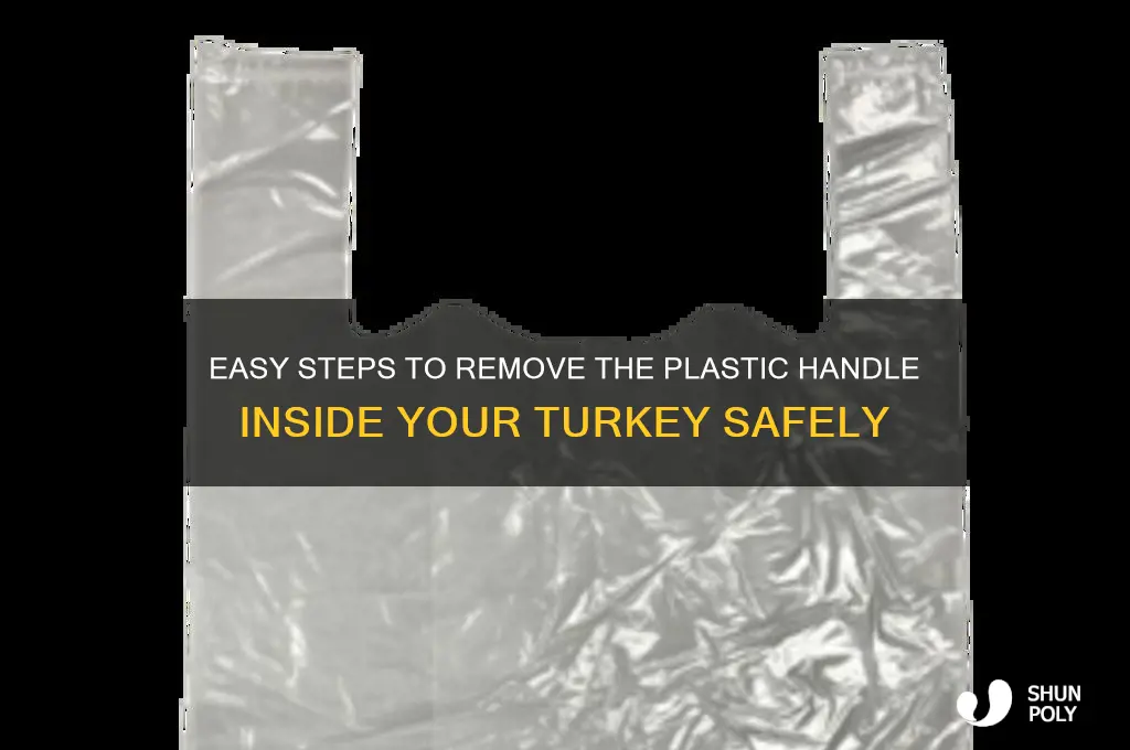 how to remove the plastic handle inside turkey