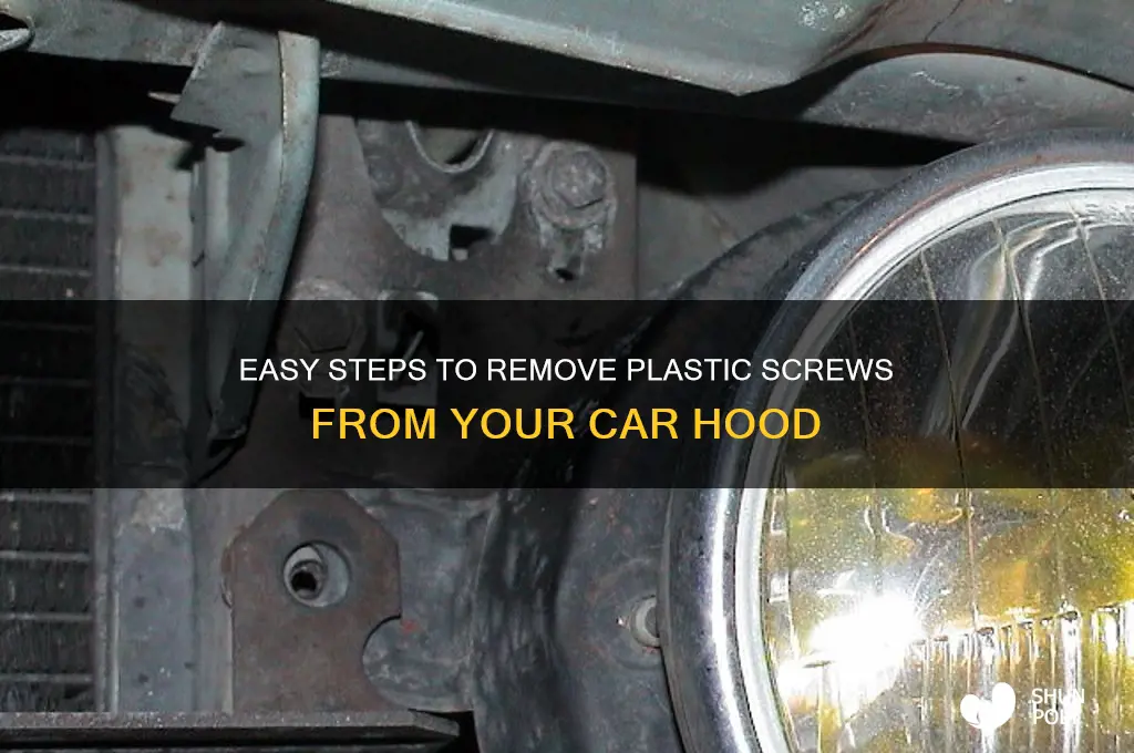 how to remove the plastic screw from car hood