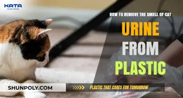 Effective Ways to Eliminate Cat Urine Odor from Plastic Surfaces