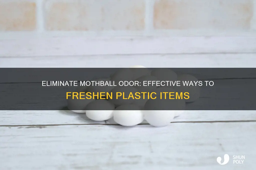how to remove the smell of mothballs from plastic