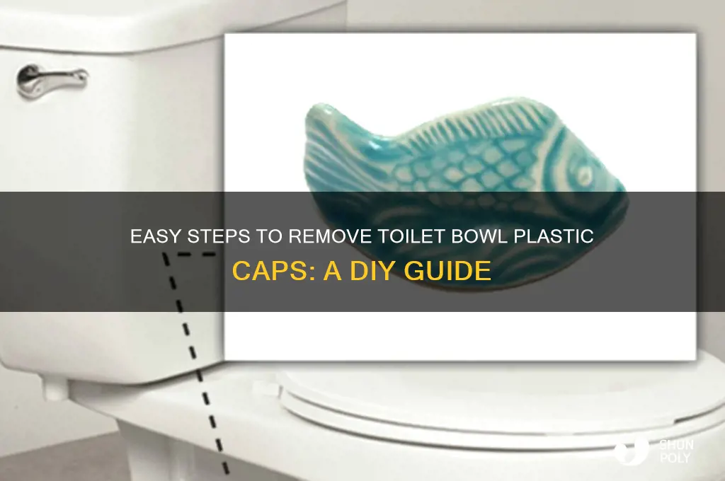 how to remove toilet bowl plastic caps