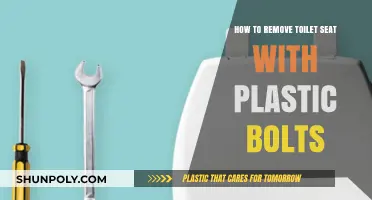 Easy Steps to Remove Toilet Seat with Plastic Bolts