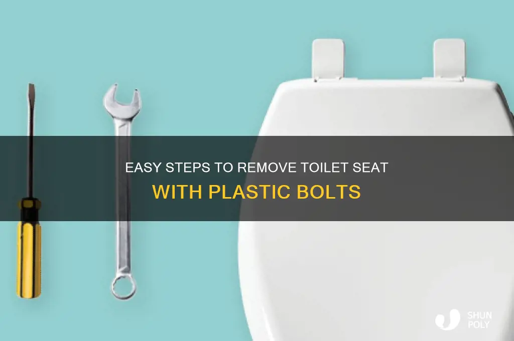 how to remove toilet seat with plastic bolts