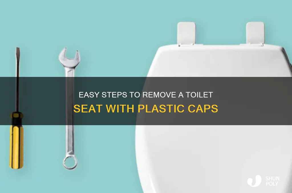 how to remove toilet seat with plastic cap