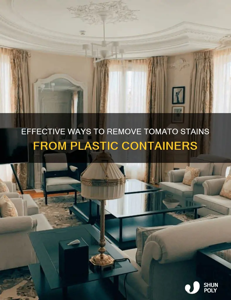 how to remove tomato gravy from plastic containers