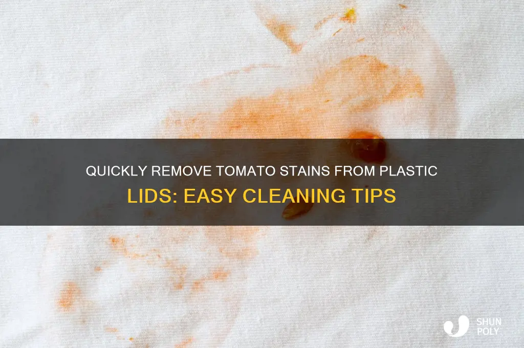 how to remove tomato stain from plastic lid