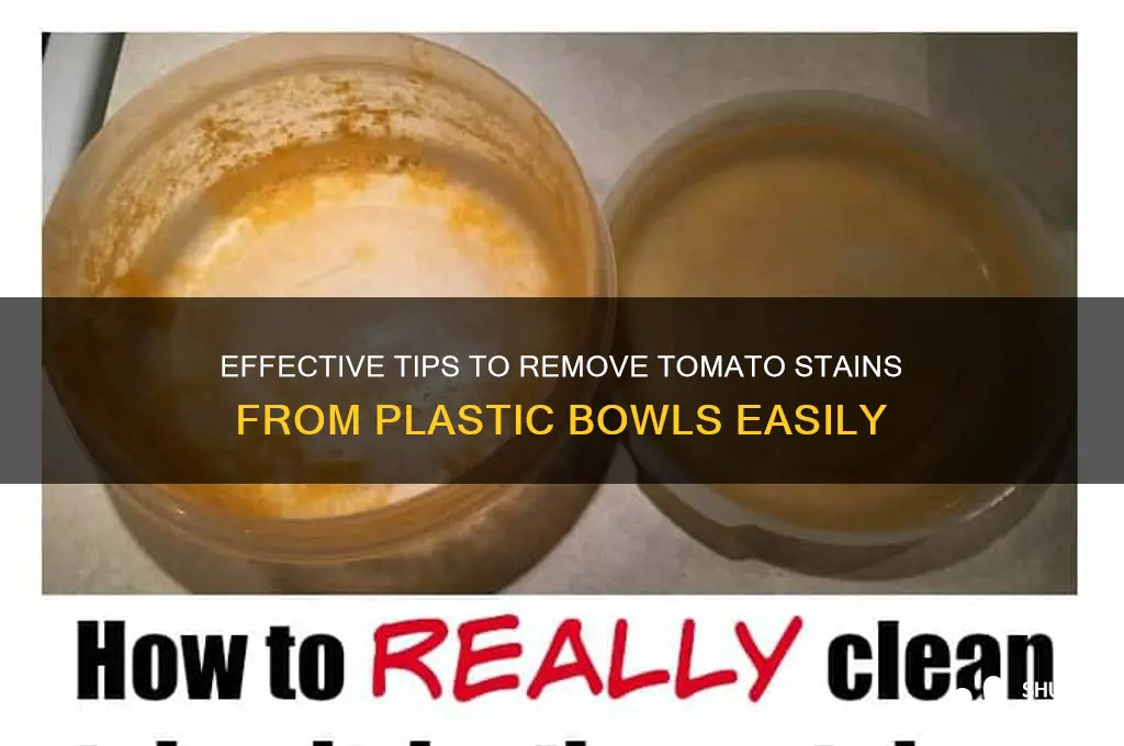 how to remove tomato stains from plastic bowls