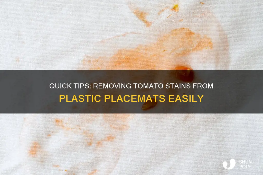 how to remove tomato stains from plastic placemats