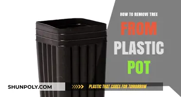 Easy Steps to Safely Remove a Tree from a Plastic Pot