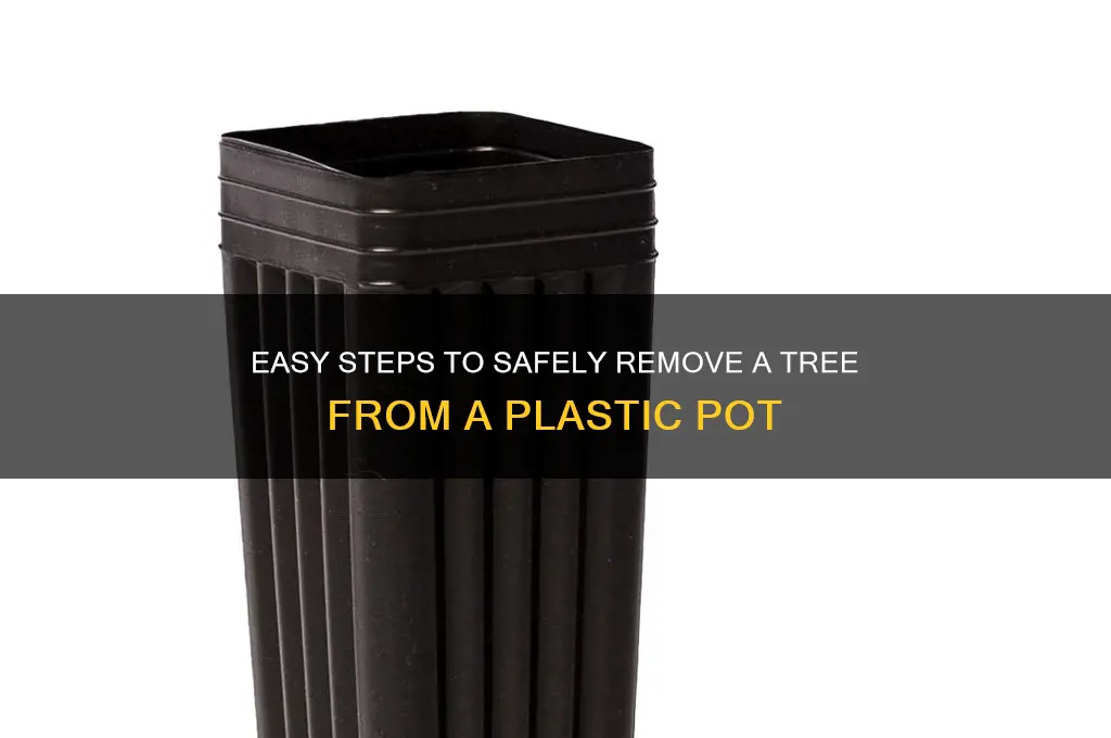 how to remove tree from plastic pot