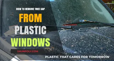 Effective Ways to Remove Tree Sap from Plastic Windows Easily