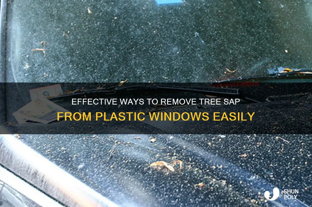 how to remove tree sap from plastic windows