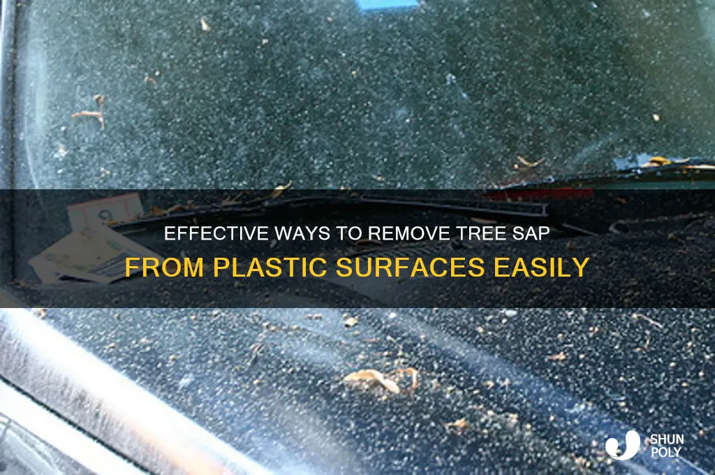 how to remove tree sap from plastic
