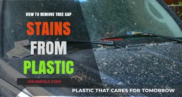 Effective Methods to Remove Tree Sap Stains from Plastic Surfaces