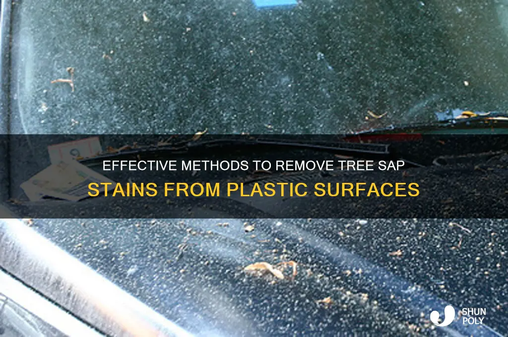 how to remove tree sap stains from plastic